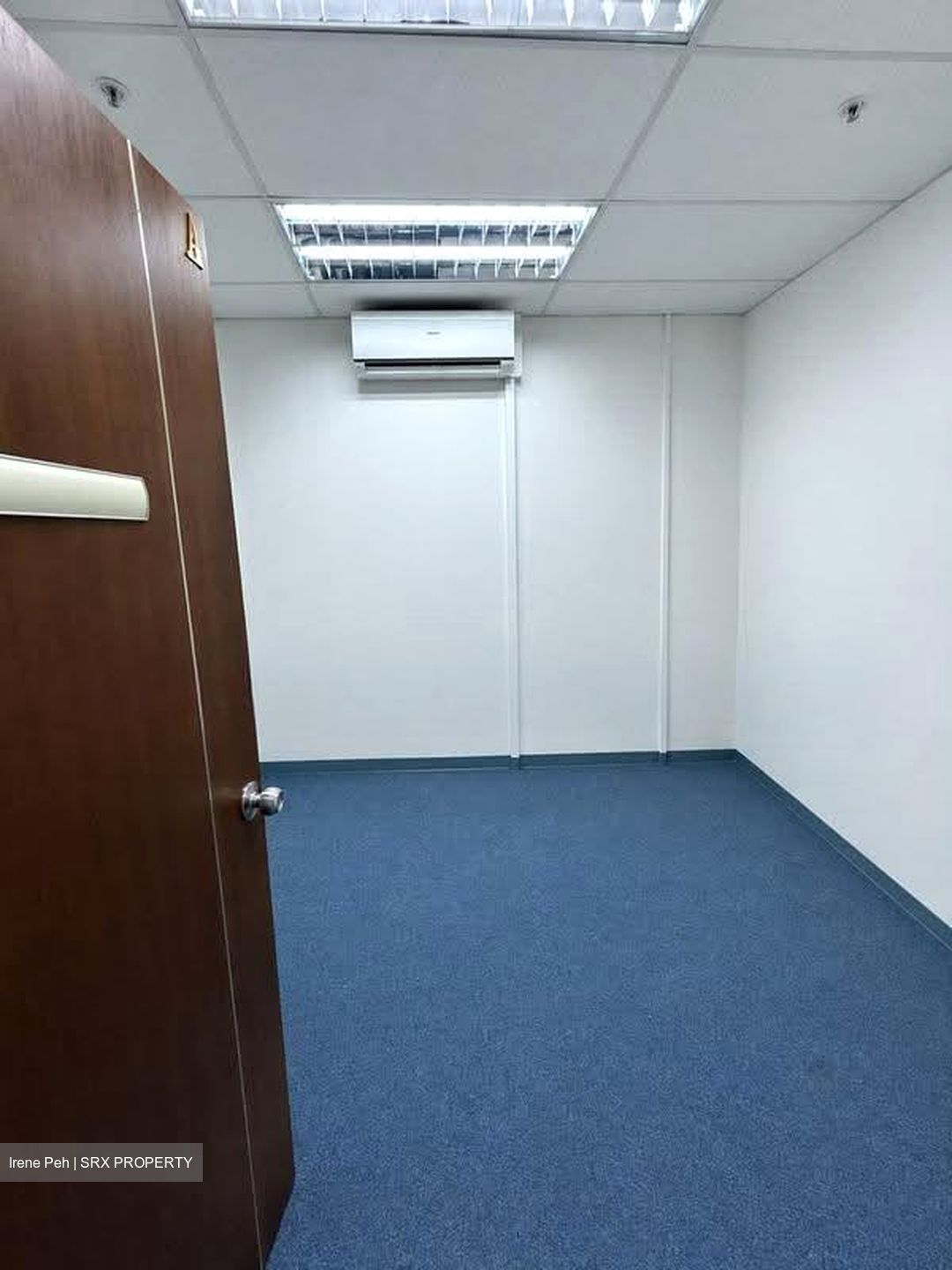 Primz Bizhub (D25), Factory #616393931
